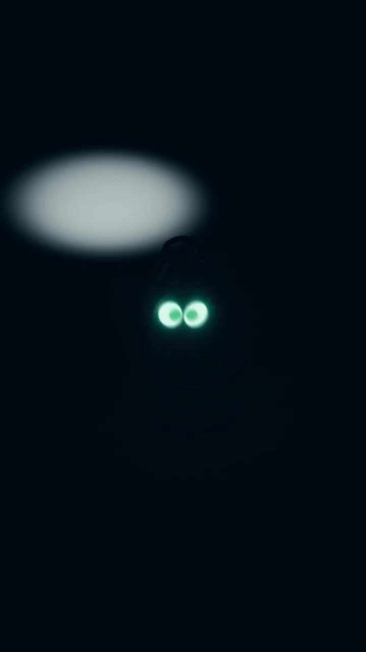 Oneira Glowing Eyes in the Dark video thumbnail