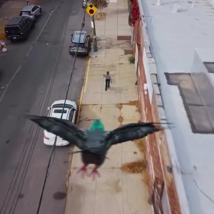 Oneira Takes Flight video thumbnail